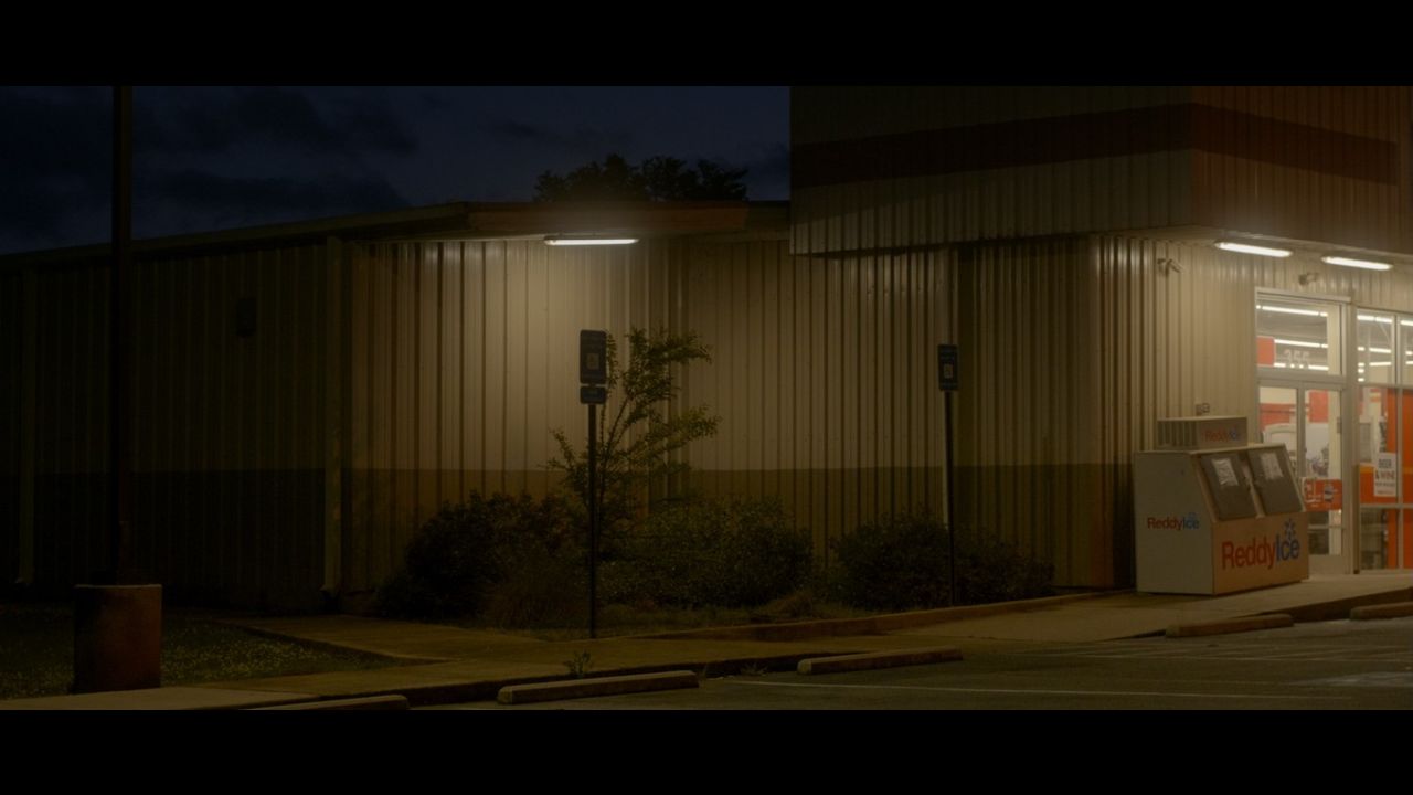 Omens Bloom in the Dark
